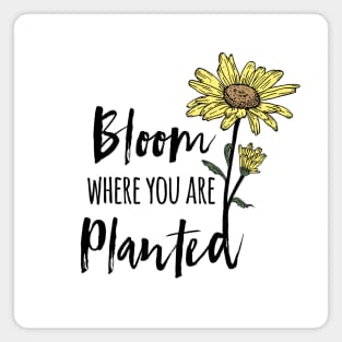 Bloom Where You Are Planted Sunflower Magnet